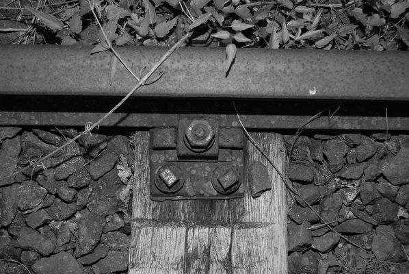 Eisenbahnen Bilder & Fotos - Fotografien Eisenbahnen