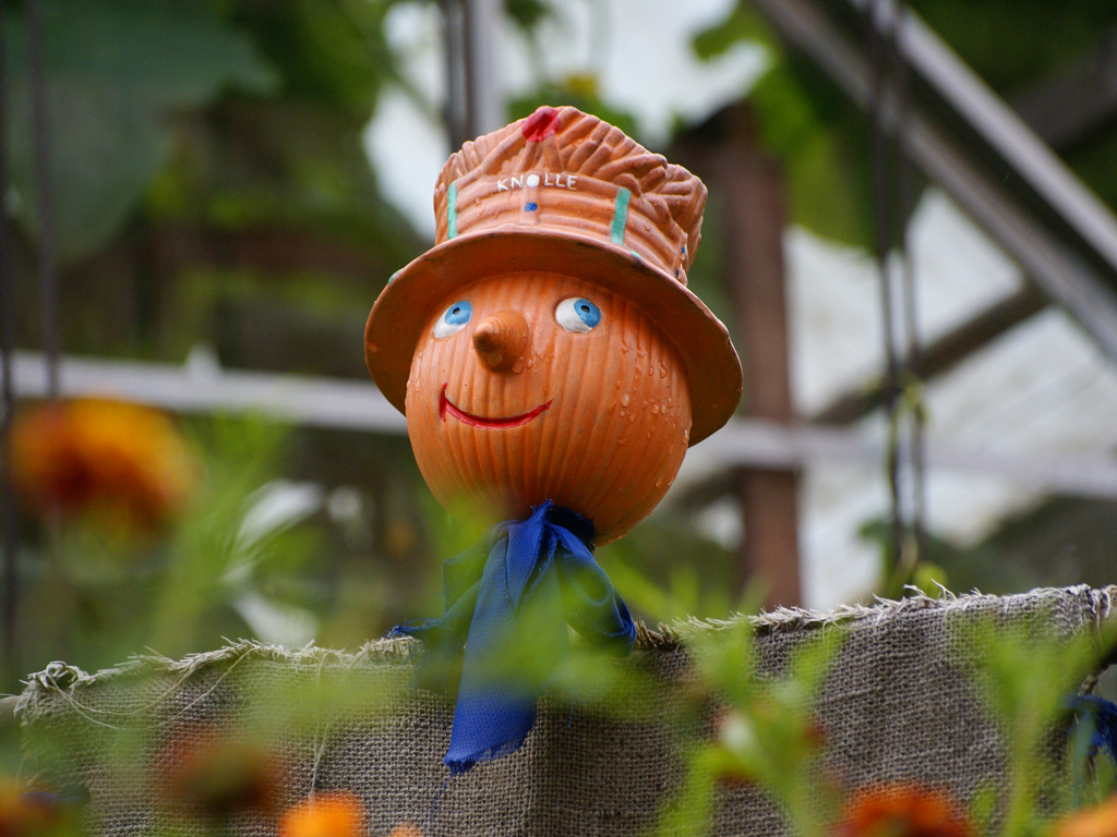 Ausgedient bis nächsten Herbst