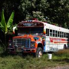 Ausgedienter Bus in Panama