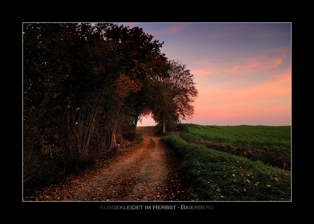 Ausgekleidet im Herbst