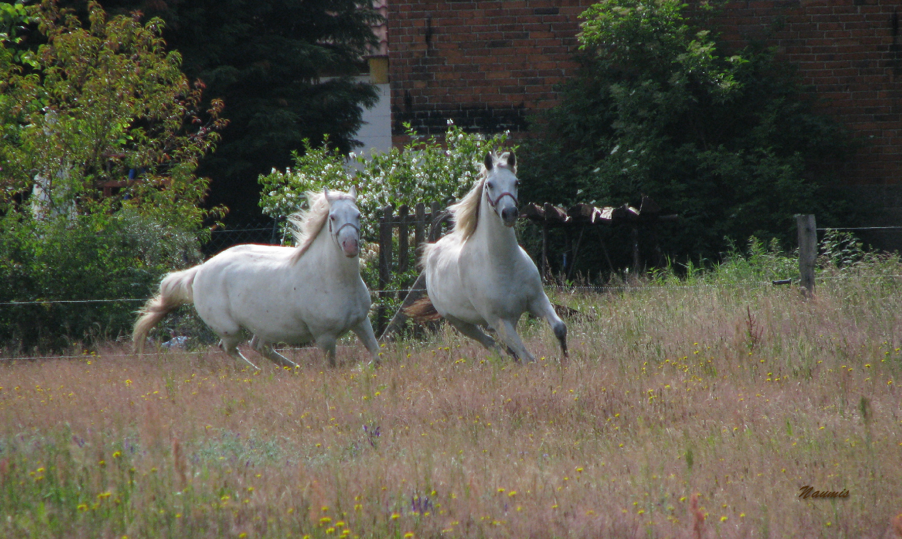 ausgelassen