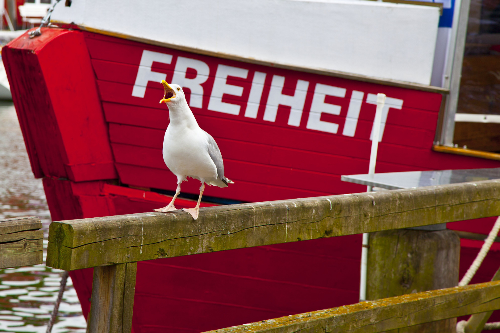 Ausgerufen