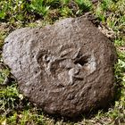 Ausgeschieden und vergessen ...