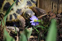 Ausgeschlafen und einen schönen Frühling gewünscht !!! ;)