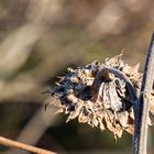 ausgeträumt. - Der Sommer ist endgültig vorbei.