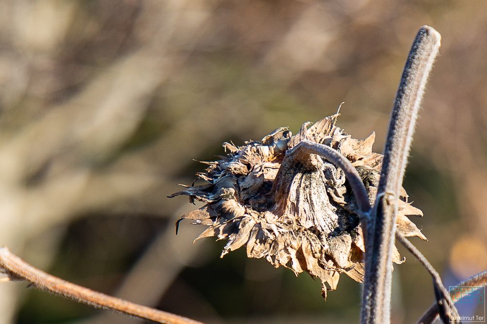 ausgeträumt. - Der Sommer ist endgültig vorbei.