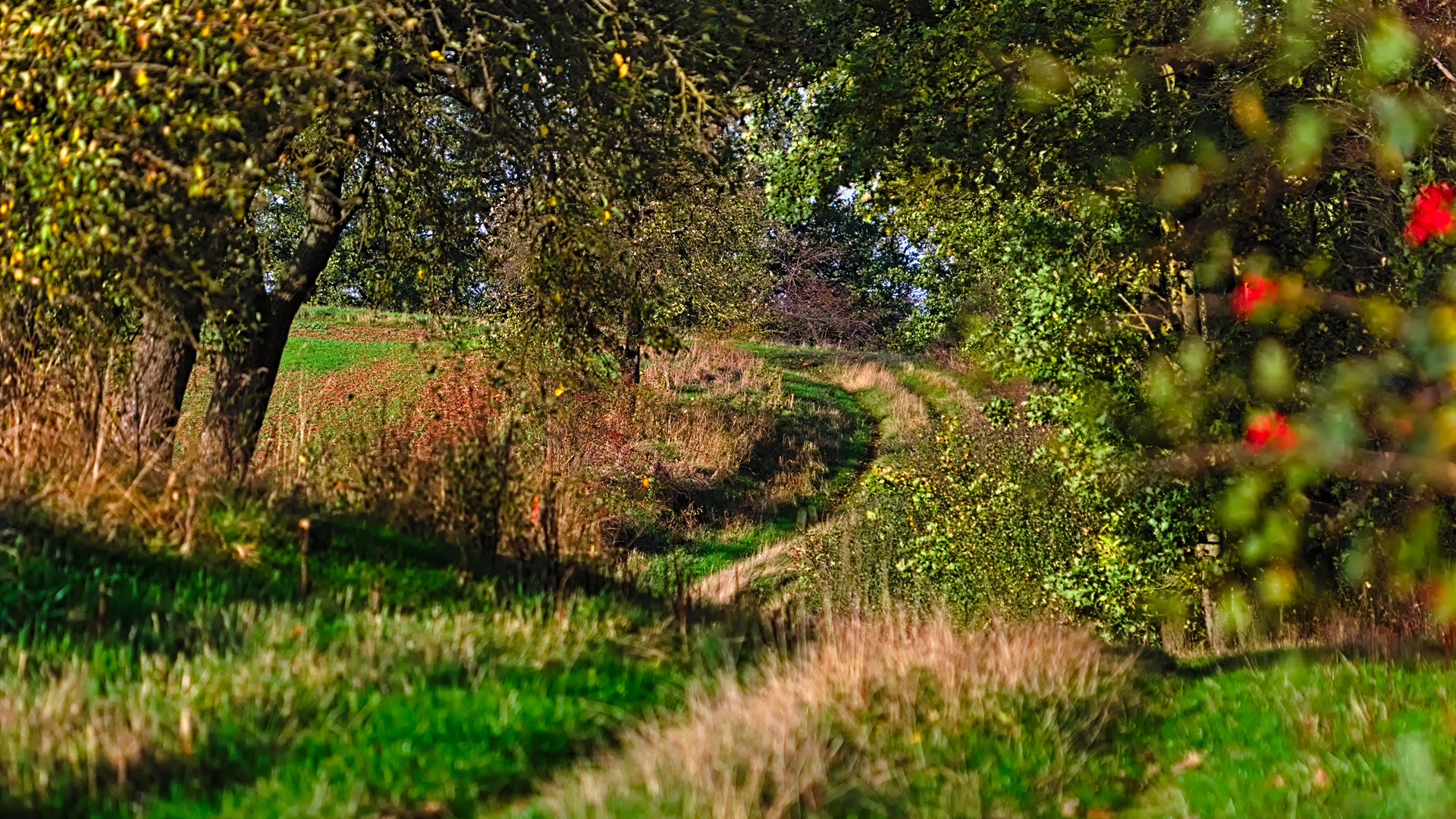 Ausgetretene Pfade anders sehen ...