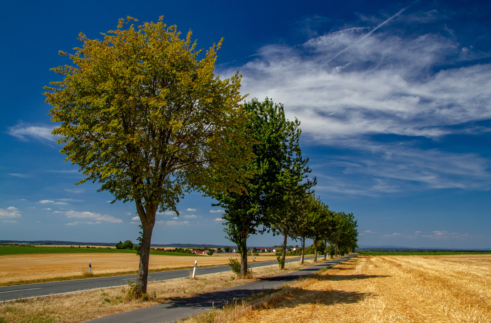 Ausgetrocknet