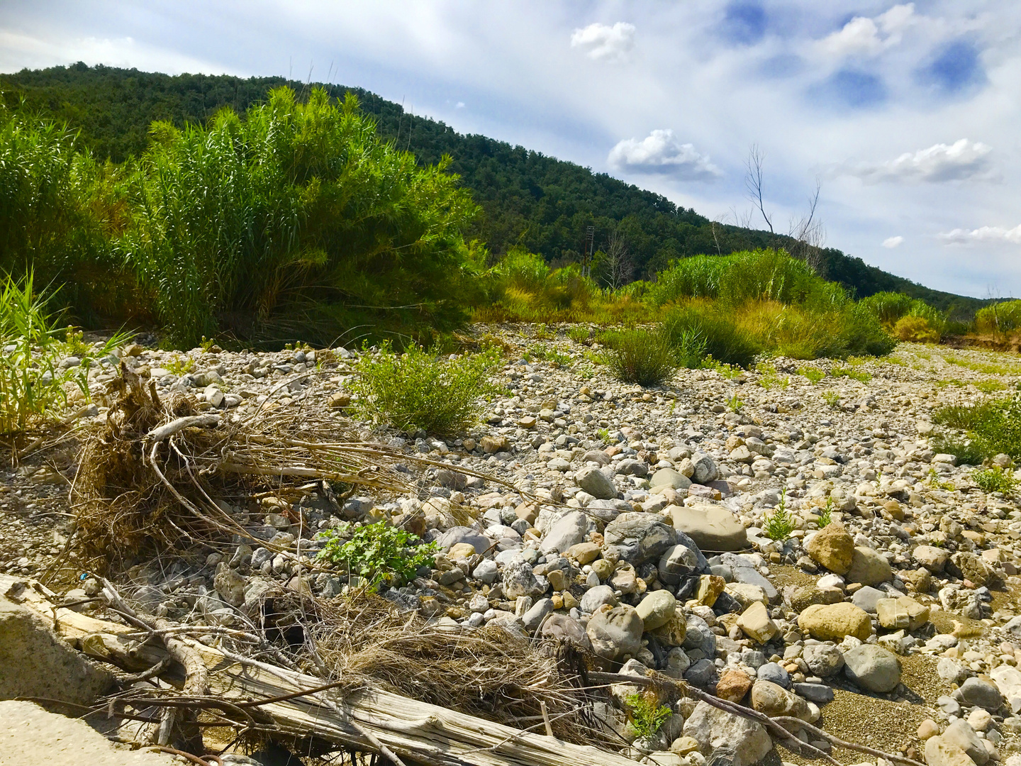 ausgetrocknet , jeden Wasser s entzogen das Flussbett