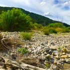 ausgetrocknet , jeden Wasser s entzogen das Flussbett