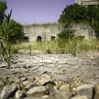 Ausgetrocknetes Flussbett