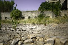 Ausgetrocknetes Flussbett