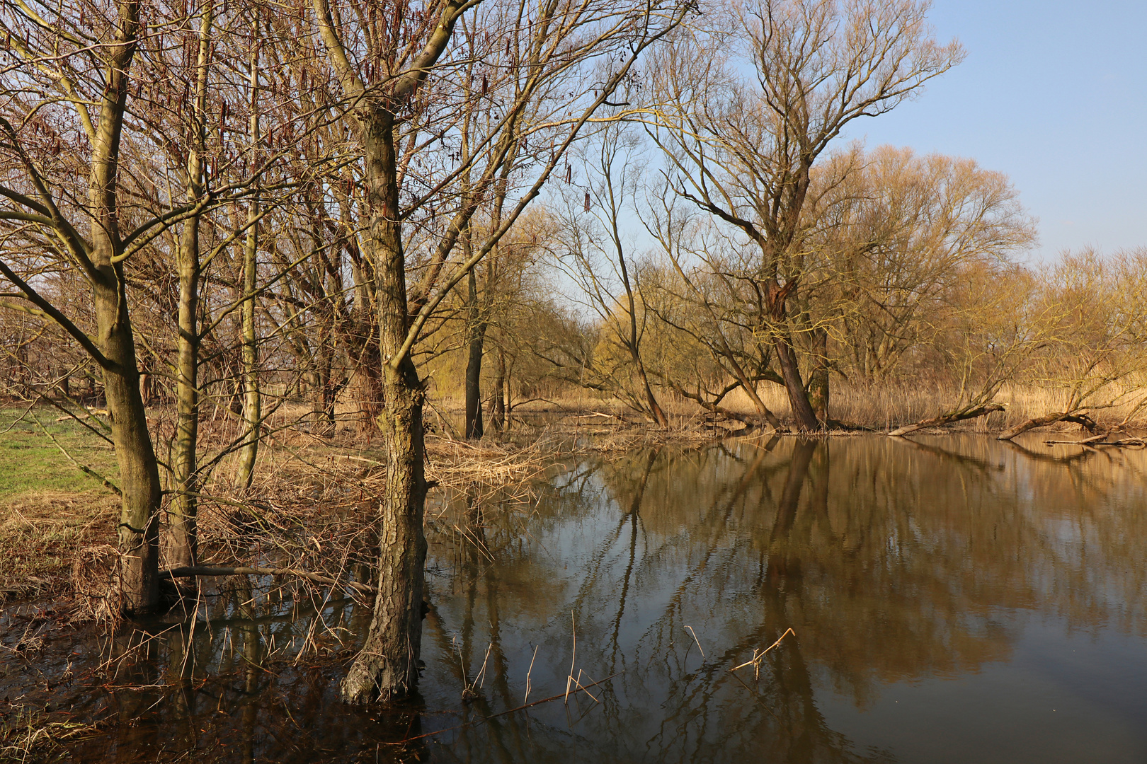 Ausgeufert