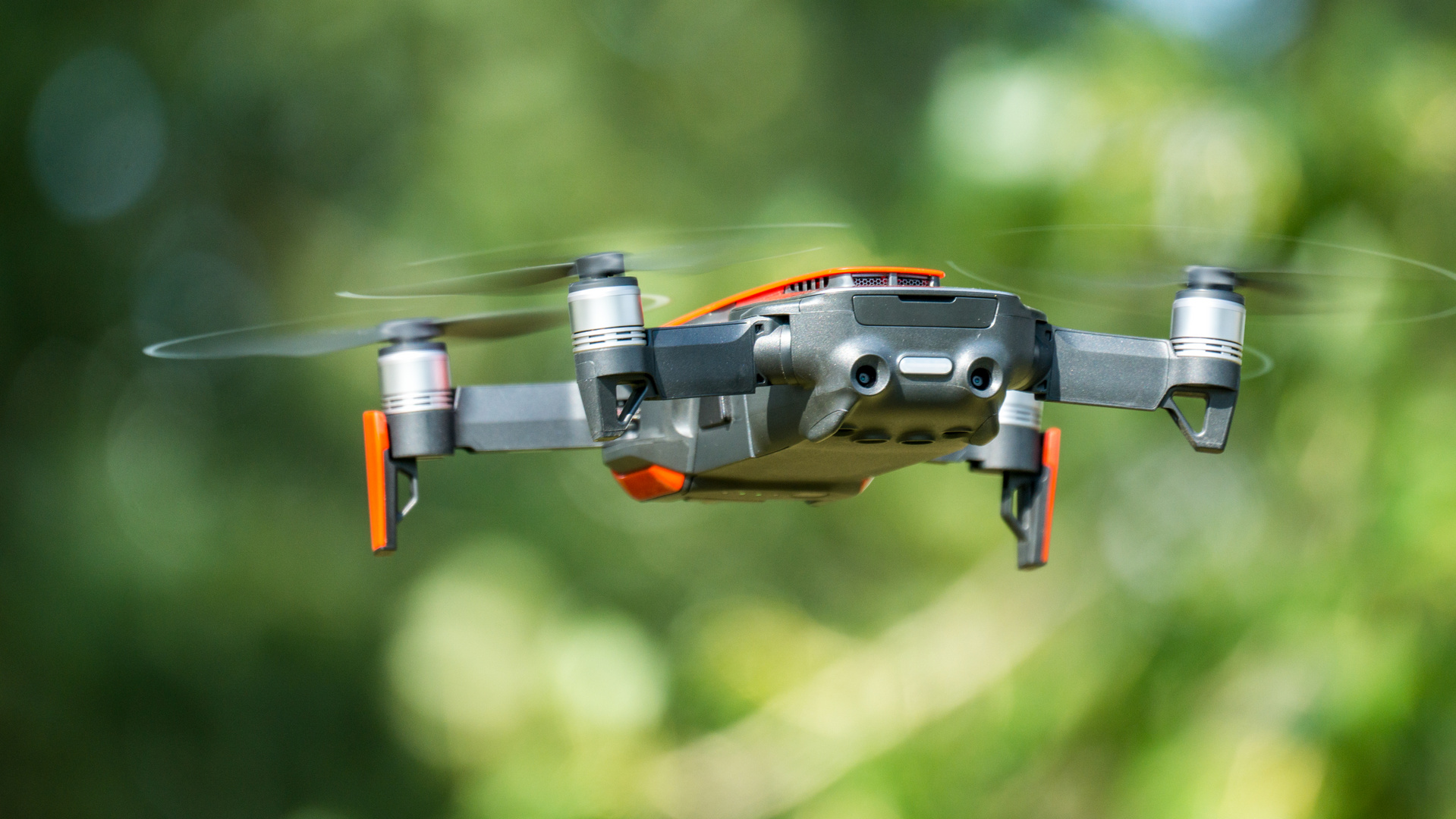 ausgewachsene Drohne in freier Wildbahn