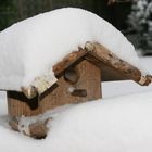 Ausgewandert oder Warten auf den Frühling