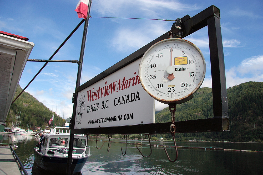 Ausgewogen... Fischwaage am Hafen von Tahsis