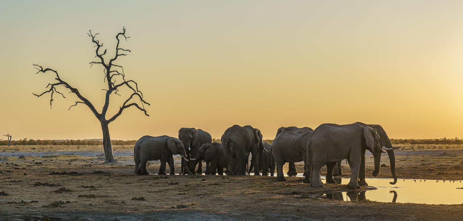Ausgiebig Foto & Bild | sonnenuntergang, abend, teich Bilder auf ...