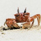 Ausguck am Strand