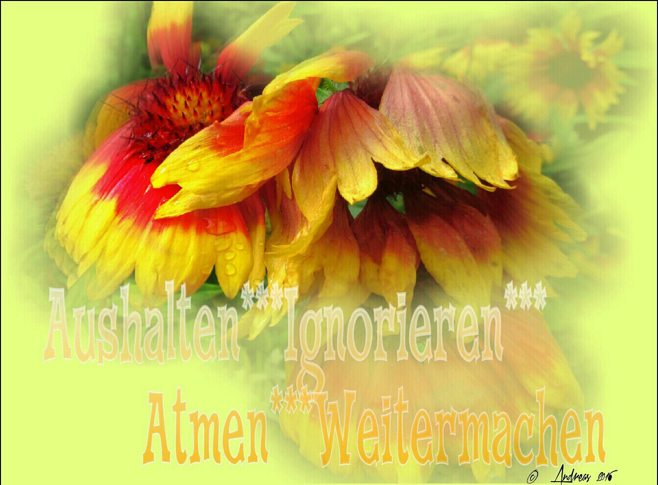 Aushalten***Atmen***Ignorieren***Weitermachen