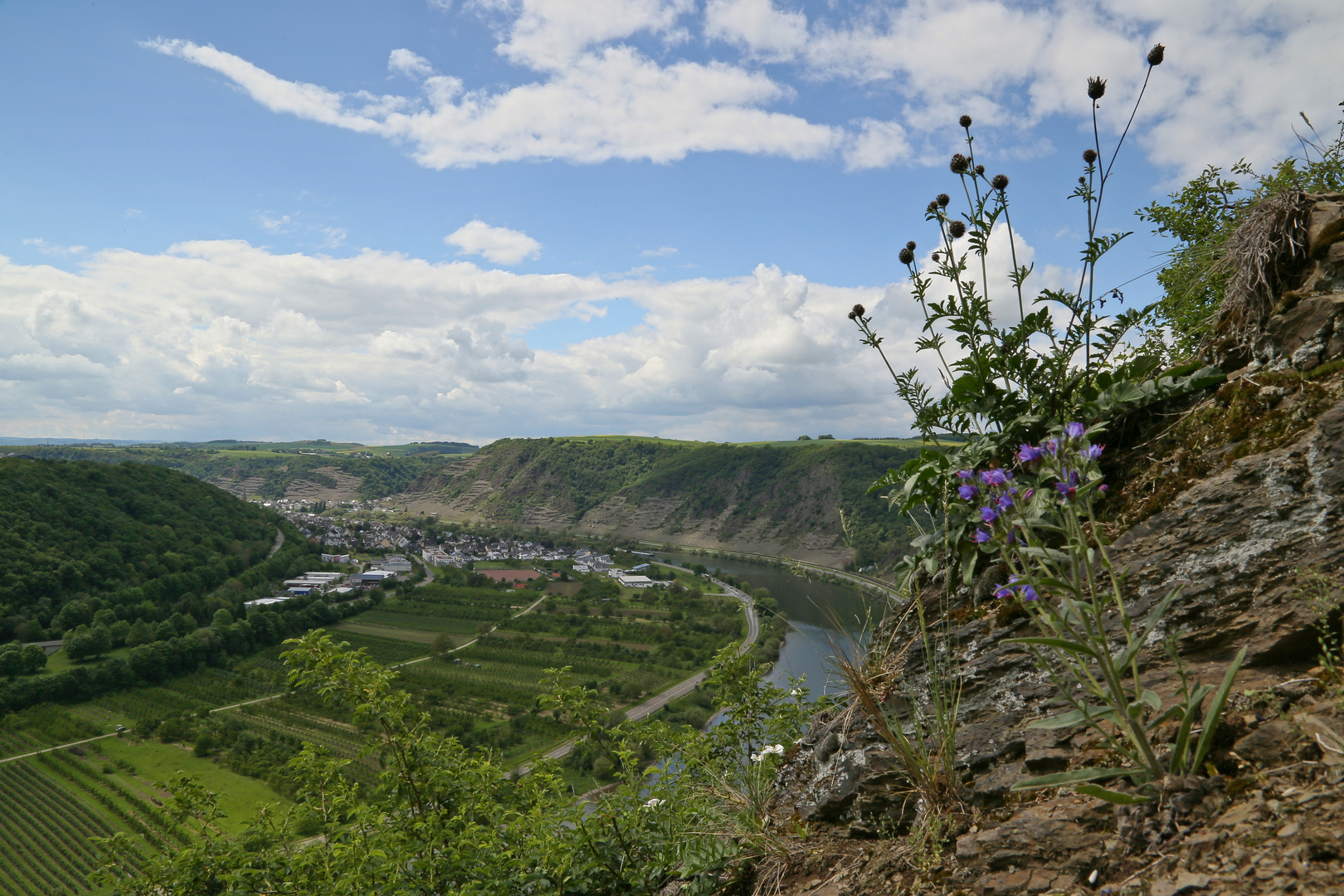 Ausichtspunkt Blumslay nahe bei der Moseltalbrücke der Autobahn (2017_05_20_EOS 6D_2665_ji)