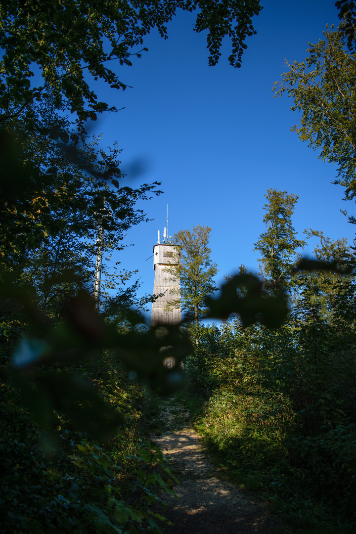 Ausichtsturm