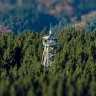 Ausichtsturm am Hünersedel im Schwarzwald 