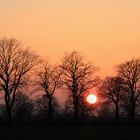 Ausklang eines sonnigen Tages Anfang März