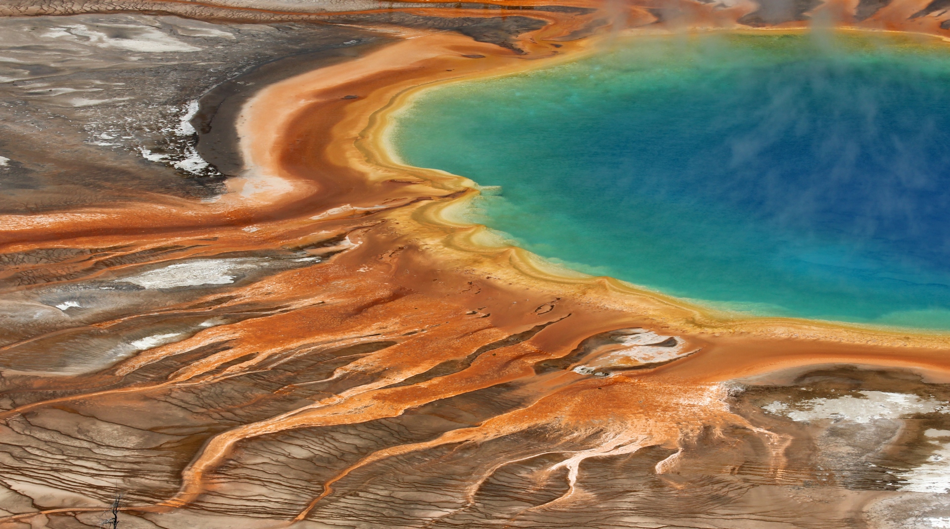 Ausläufer der Grand Prismatic Spring