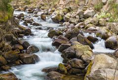 Ausläufer des Stuibenfall bei Umshausen - TRL_04_16_004