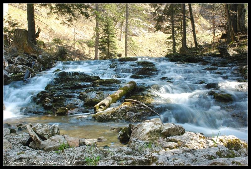 Auslauf eines Bergsees - Lunz / See