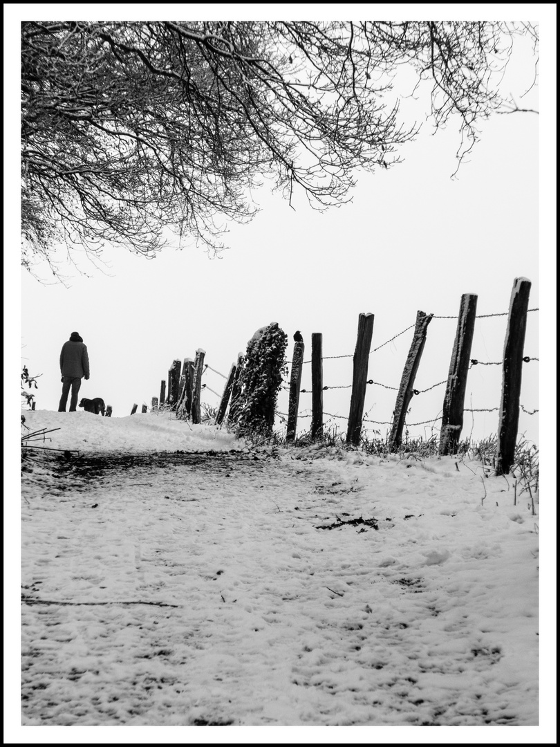 Auslauf im Schnee