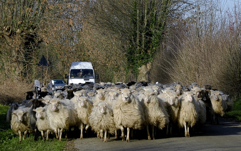 auslösen und weg...