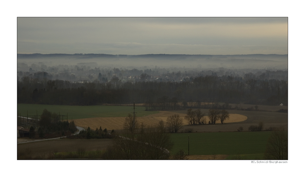 aus`m Fenster g`schaut