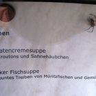 aus`m Leben ! Lecker Süppchen !