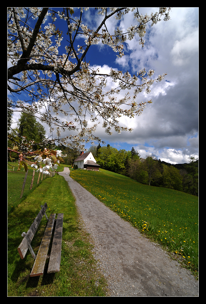 Ausnahme aus dem Frühling 2013