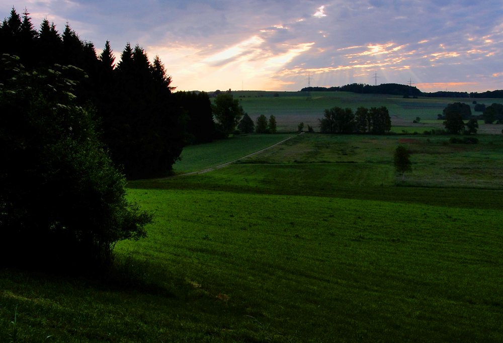 Ausnahmen bestätigen die Regel