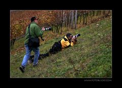 Ausnahmezustand im Weinberg