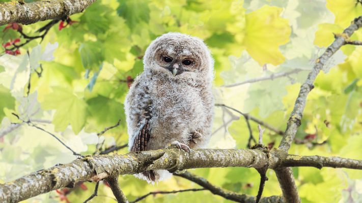 Ausnahmsweise mal frei sitzend