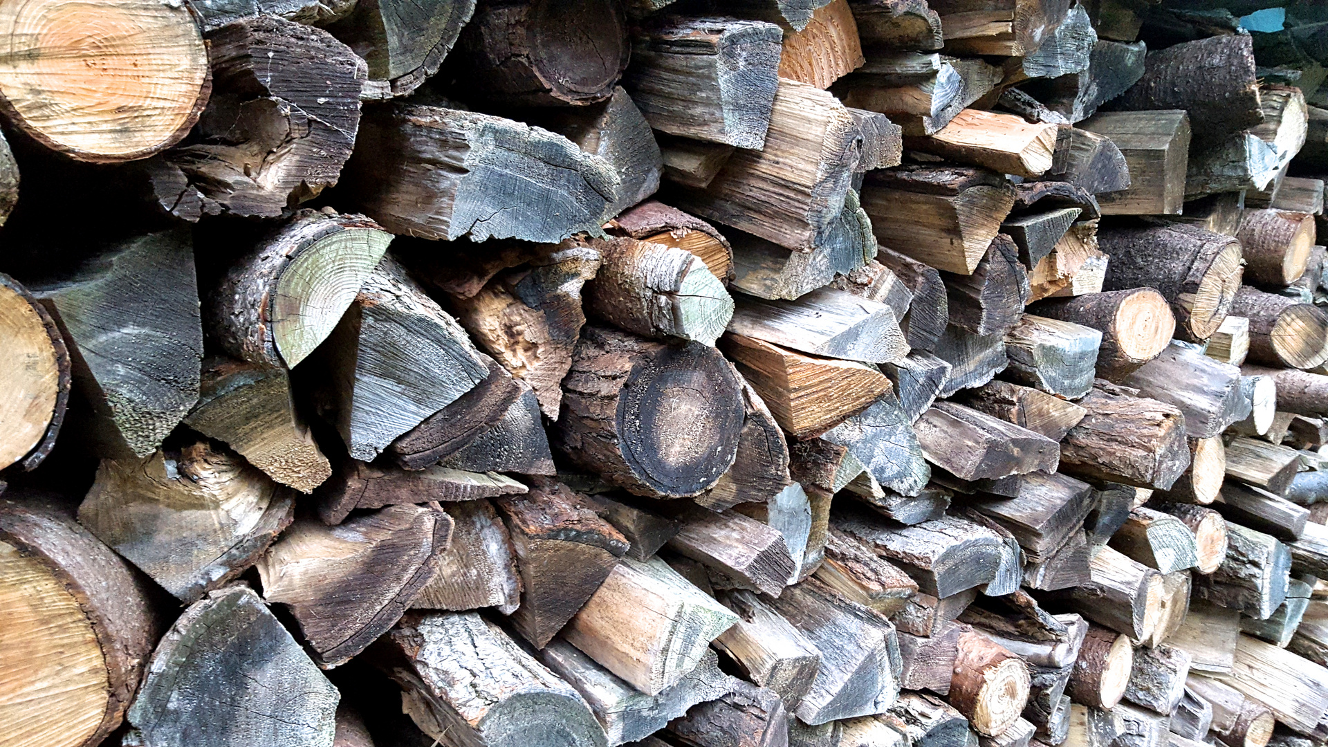 ausreichend holz vor der hütte . . .