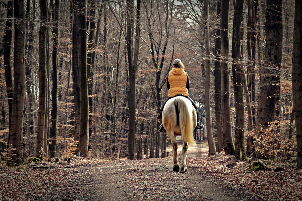 Ausreiten