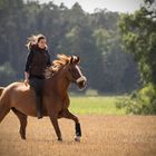 ...Ausriit im Spätsommer...