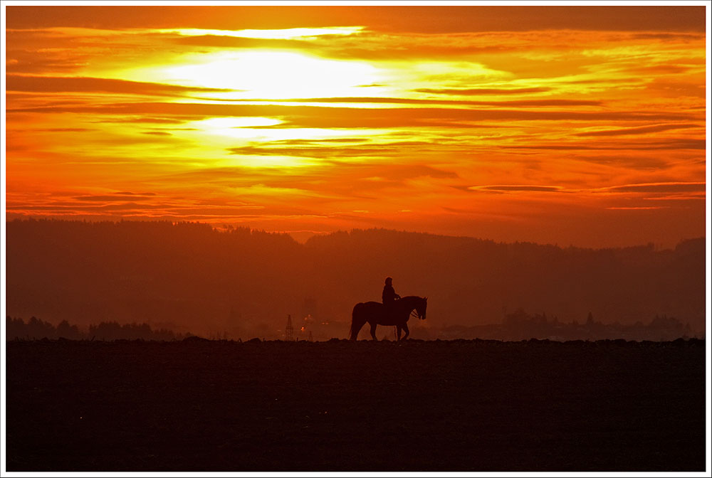 Ausritt am Abend