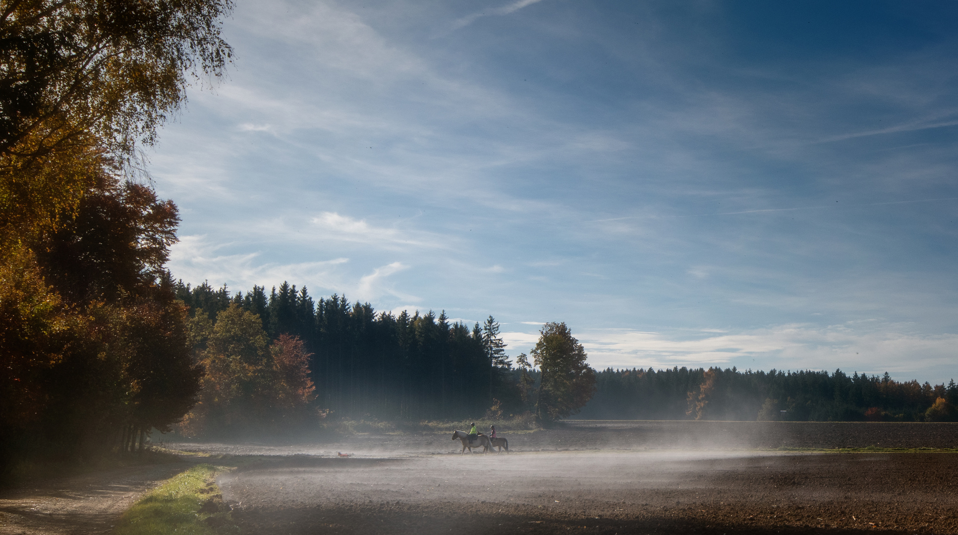 Ausritt am Herbstmorgen