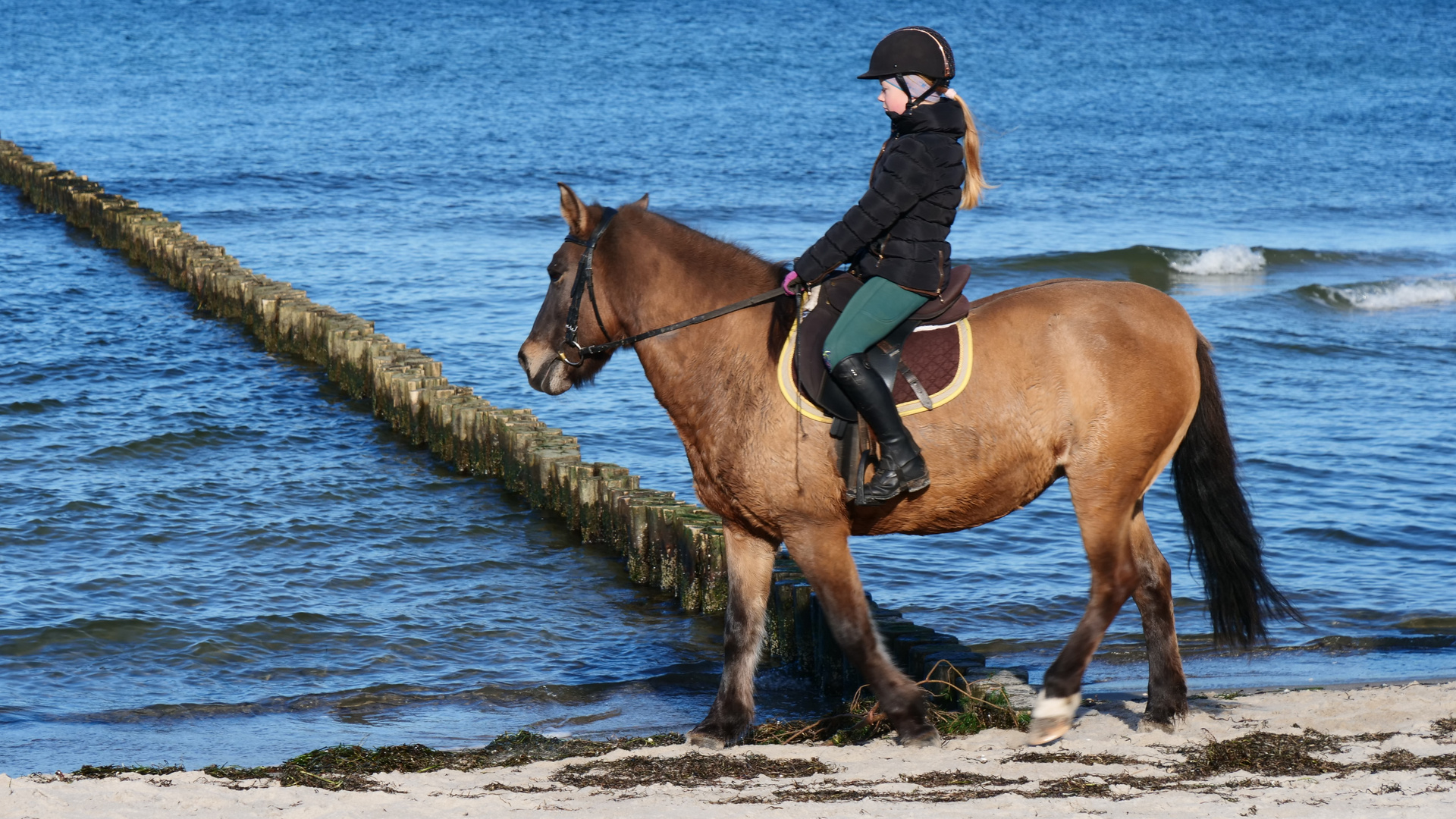 Ausritt am Meer