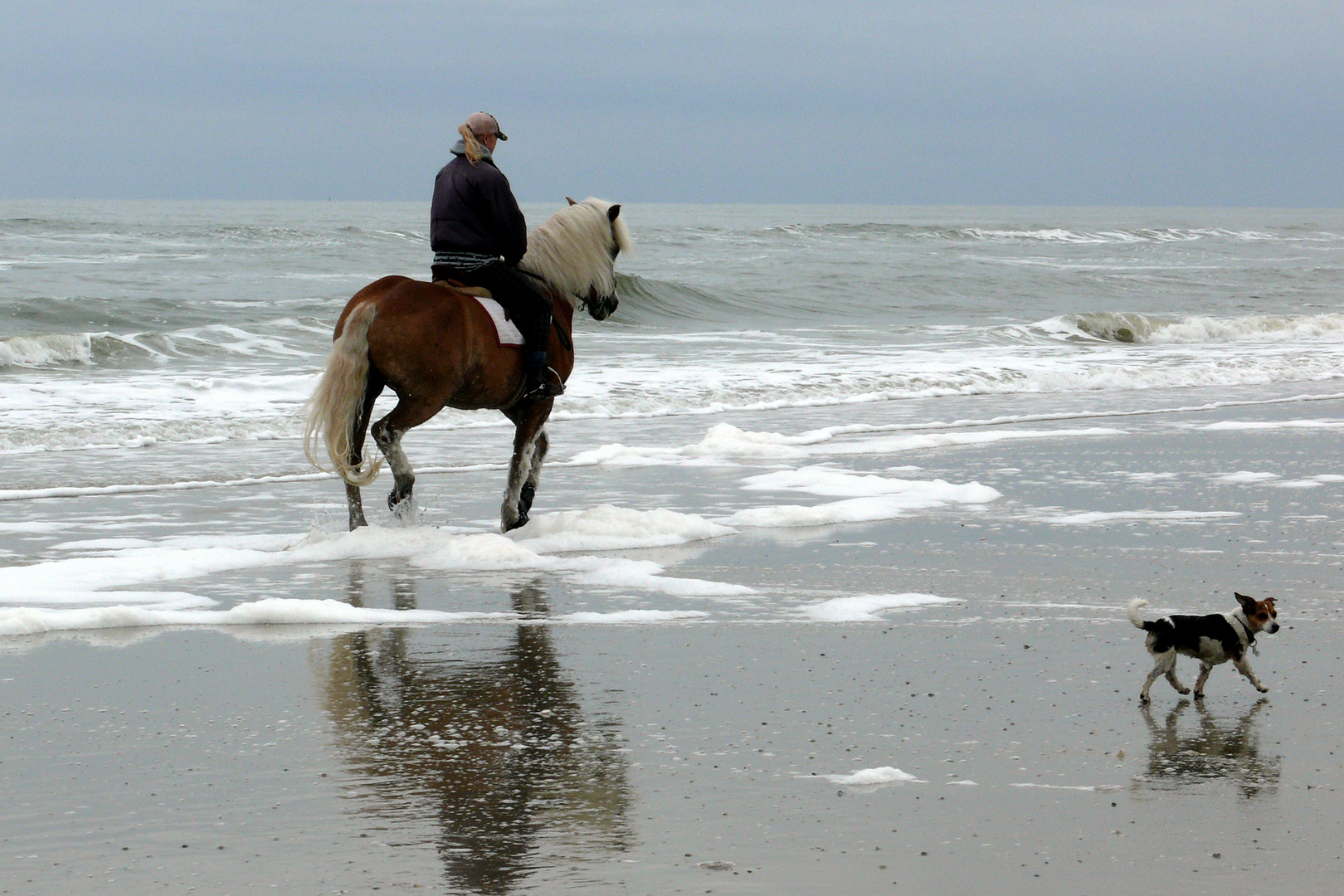 Ausritt am Meer