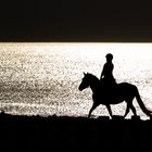 Ausritt am Strand