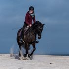 Ausritt am Strand