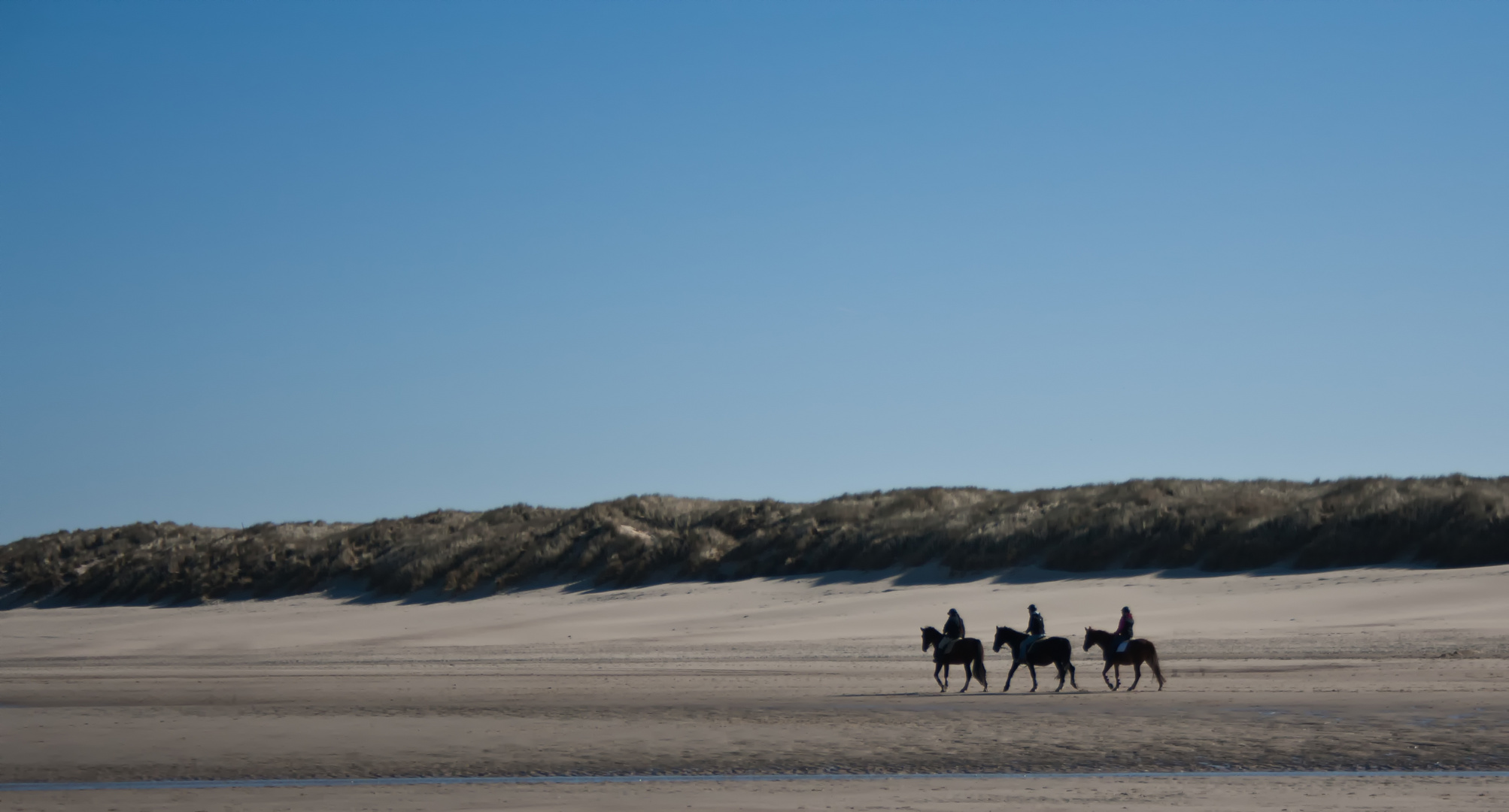 Ausritt am Strand