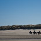 Ausritt am Strand