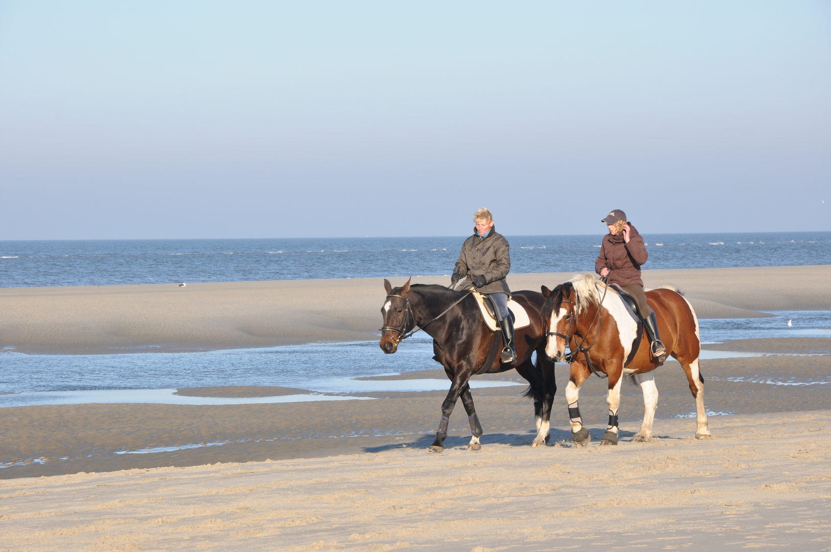 Ausritt am Strand